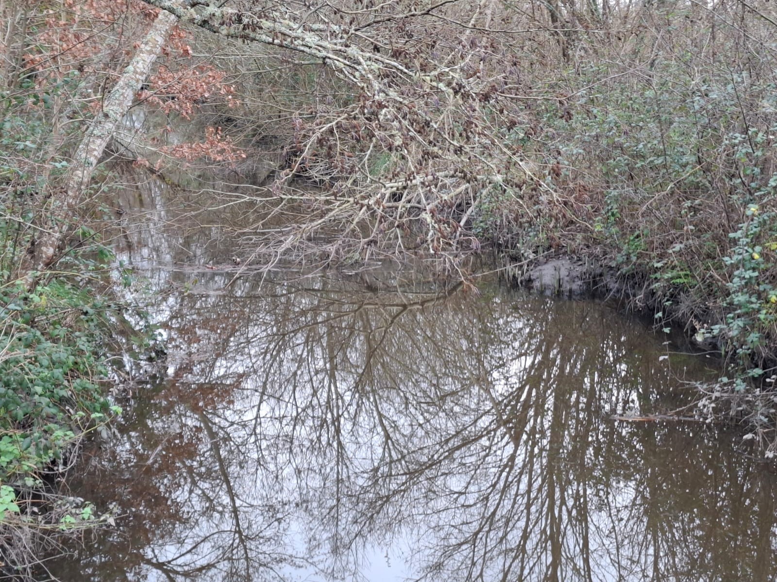 Randonnée du 21 janvier à Fouesnant