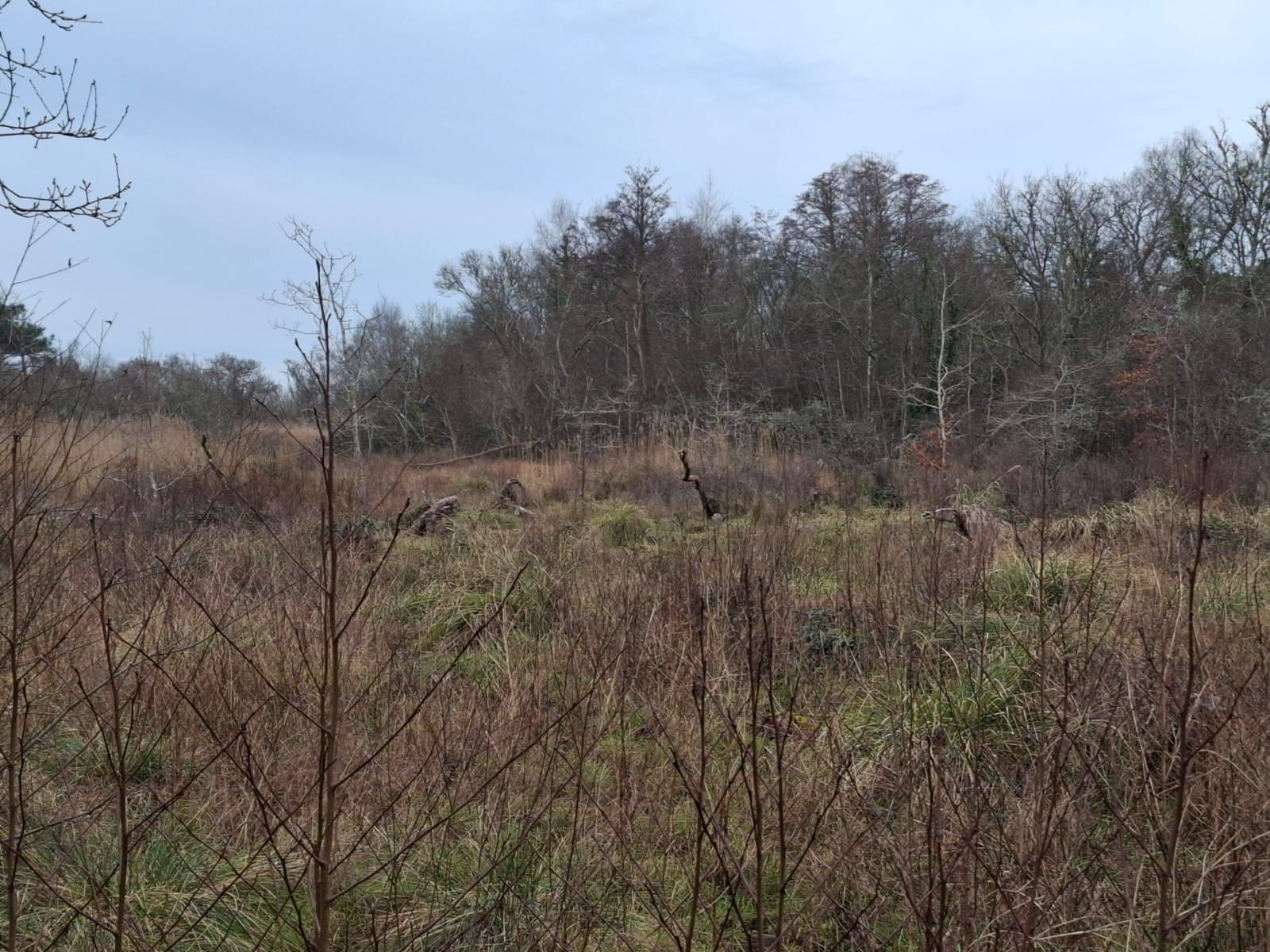 Randonnée du 21 janvier à Fouesnant